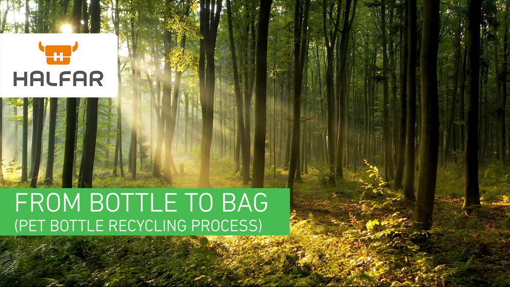 YouTube video on the recycling process From the bottle to the bag