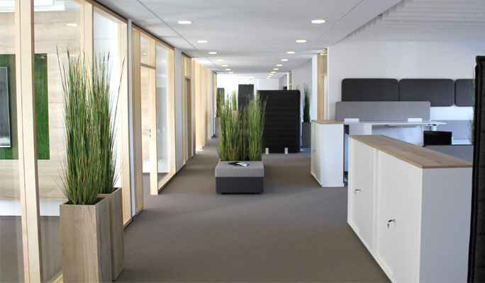 New Work Area at Halfar System GmbH