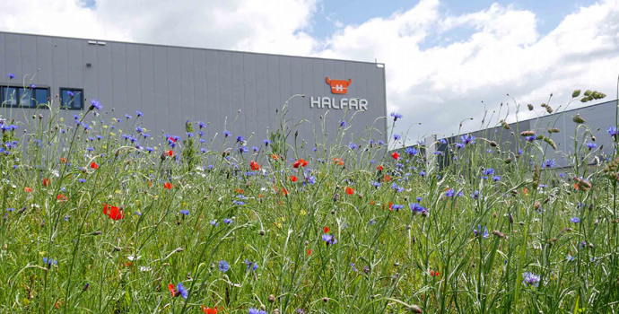 CERTIFIED BIODIVERSITY AT HALFAR