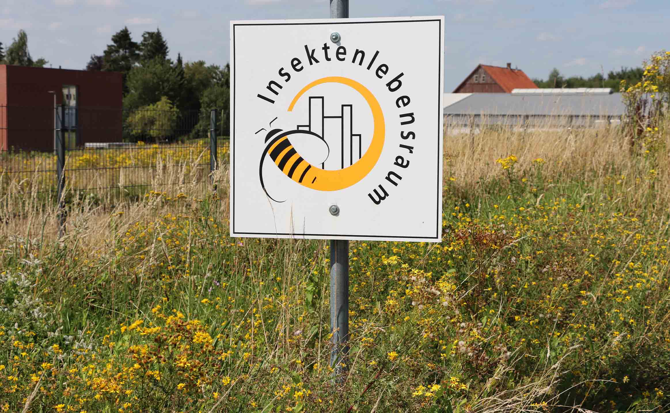 Halfar Blog – Protecting and promoting insect habitats